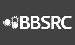 Institute of Genetic Medicine